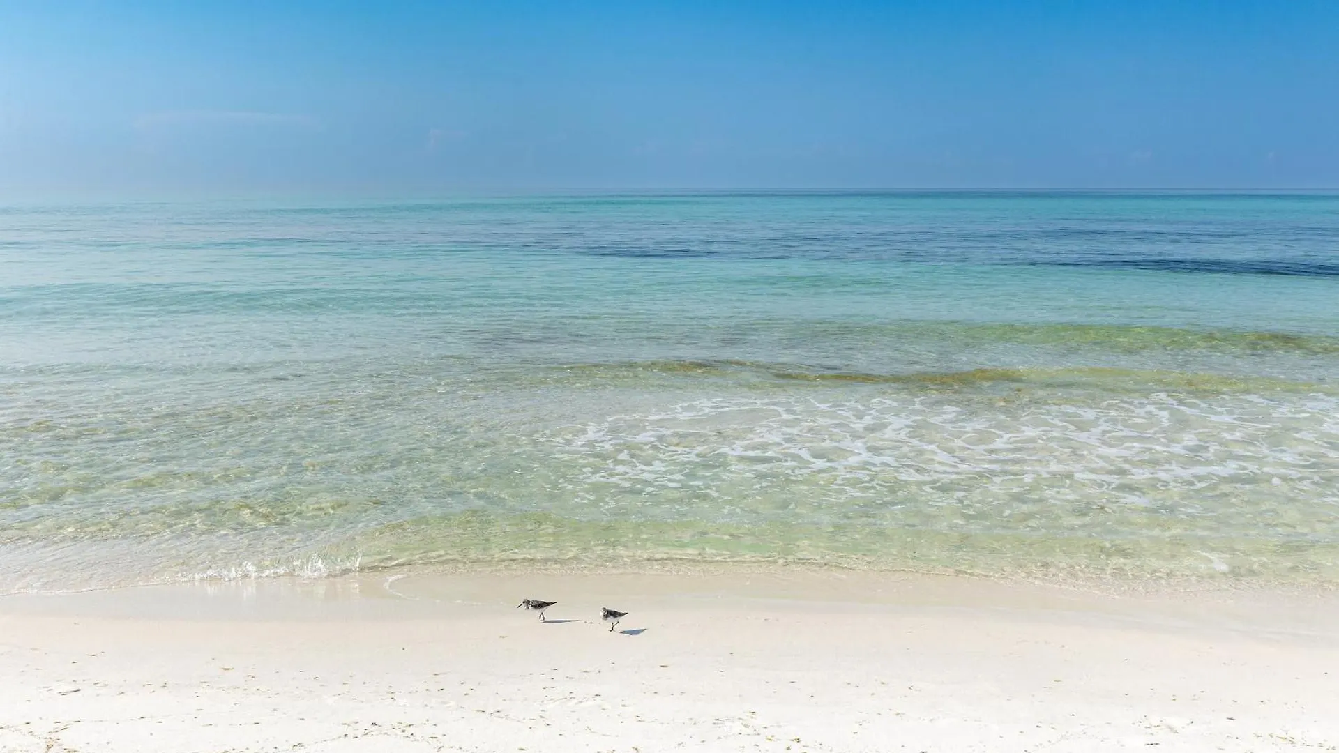 Inlet Reef 413- By Holiday Isle Properties Destin 0*,