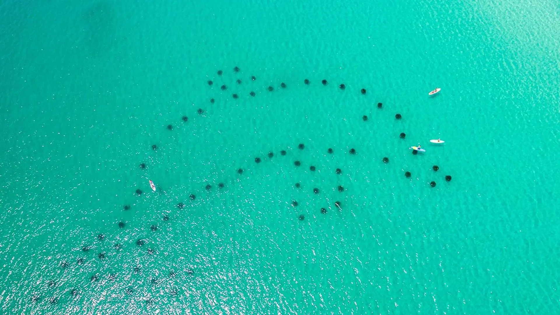 Inlet Reef 413- By Holiday Isle Properties Destin 0*,  United States